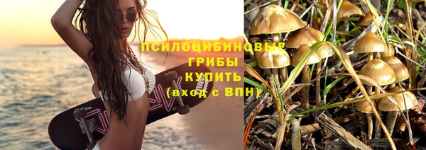 молекула духа Дмитриев