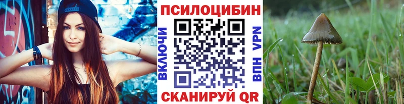 Галлюциногенные грибы Cubensis  Кострома 